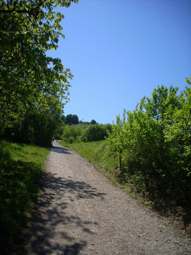 Weg von Kirchehrenbach zum Walberla, Blick bergwrts (Mai 2011)