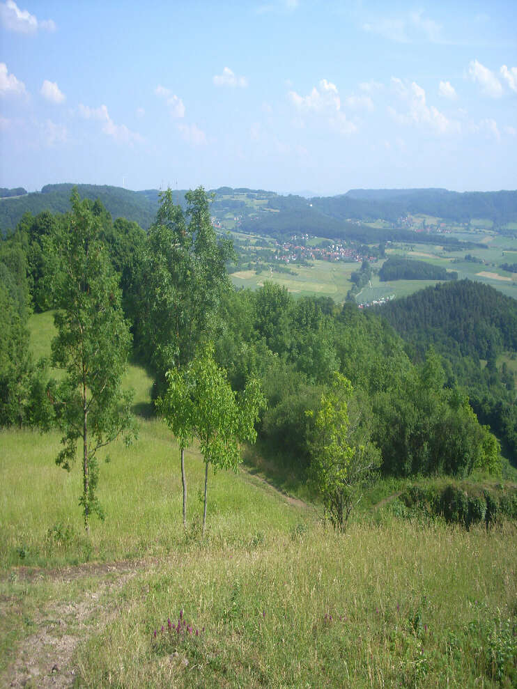 Blick vom Rodenstein nach Sden (Juni 2015)
