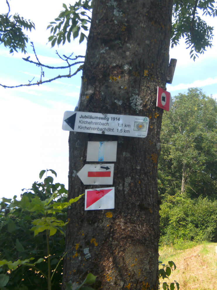 Fuweg nach Kirchehrenbach (Juli 2018)