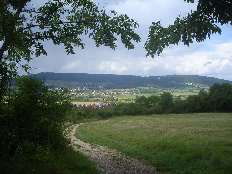 Weg von Kirchehrenbach zum Walberla, Blick talwrts (August 2014)