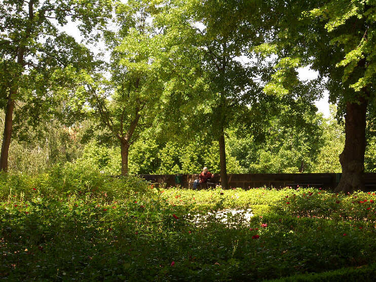 Im Burggarten auf der Groen Burgbastei (Mai 2009)