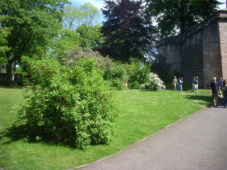 Burggarten zwischen der Groen und Unteren Bastei (Mai 2013)