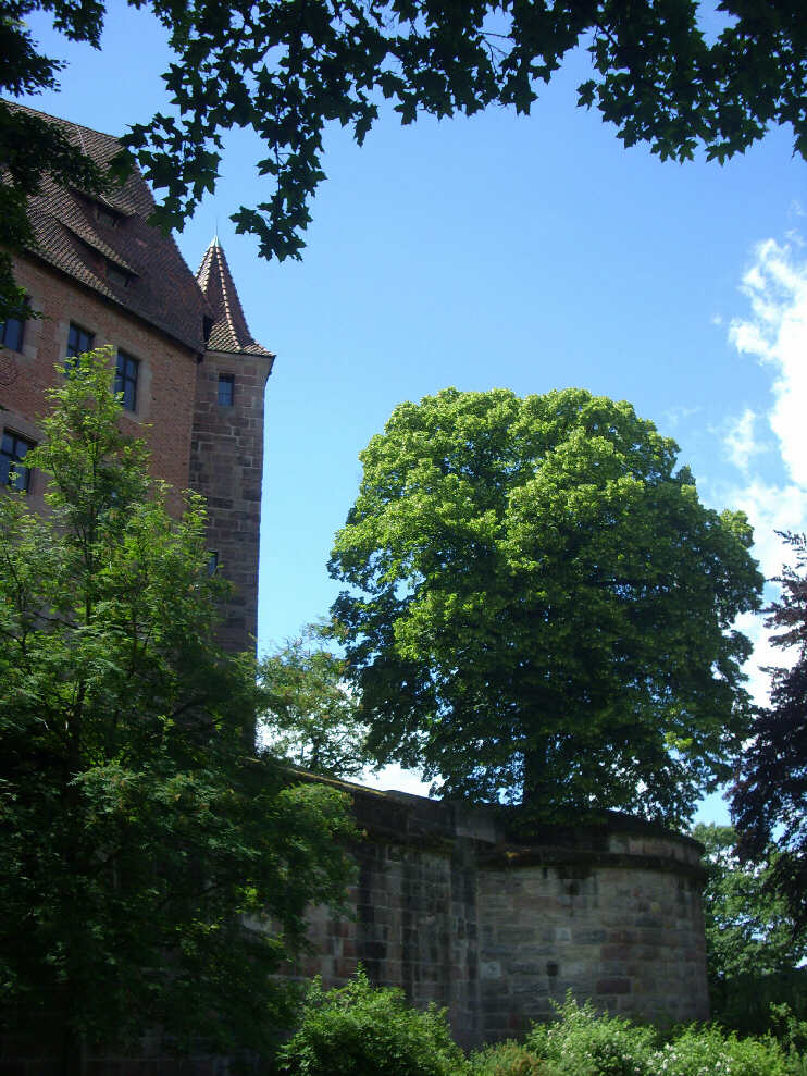 Blick von der Gartenanlage zwischen Groer Burgbastei & Vestnertorbastei empor zur Kaiserburg (Juni 2013)