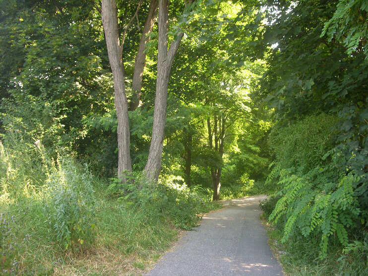 Wanderweg zwischen Kleinweidenmhle und Johannisbrcke (Juli 2013)