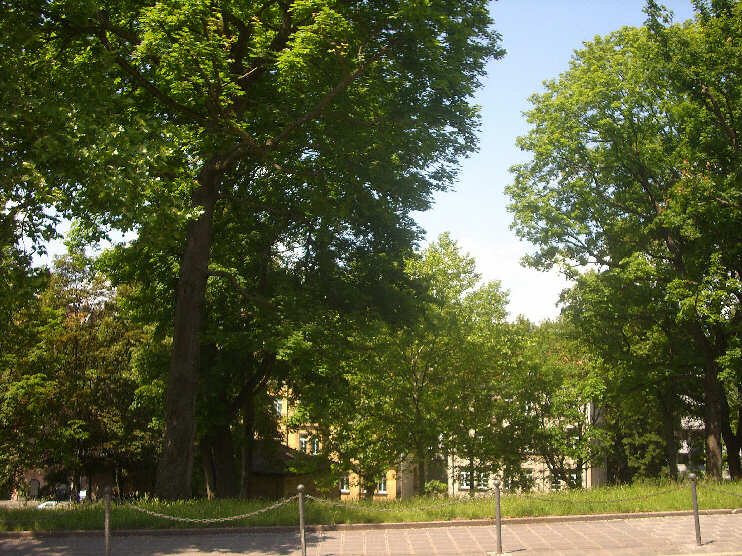 Vestnertorgraben bei der Grnanlage am Khberg  (Juni 2014) [Siehe auch unter Khberg, Unterer Vestnertorgraben]