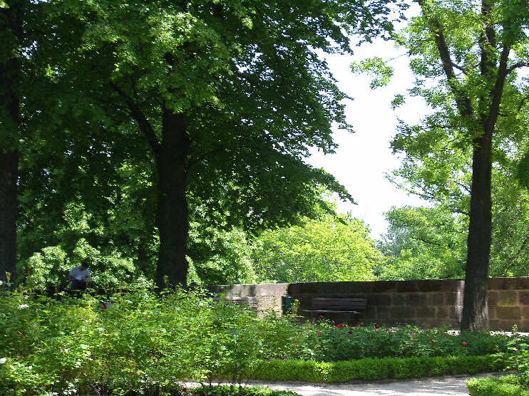 Im Burggarten auf der Groen Burgbastei (Mai 2009)
