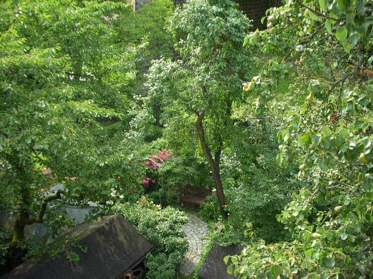 Blick vom Vestnertorgraben hinunter zu den Grten im Burggraben (Juli 2009)