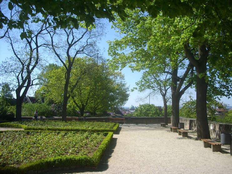 Frhling im Burggarten auf der Groen Burgbastei (Mai 2015)