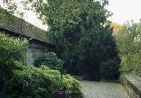 Brgermeistergarten