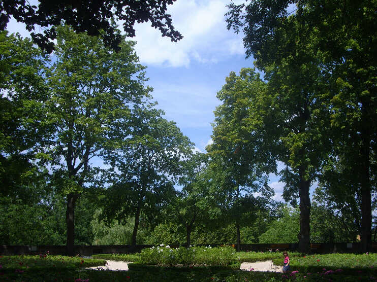 Im Burggarten auf der Groen Burgbastei (Juni 2014)
