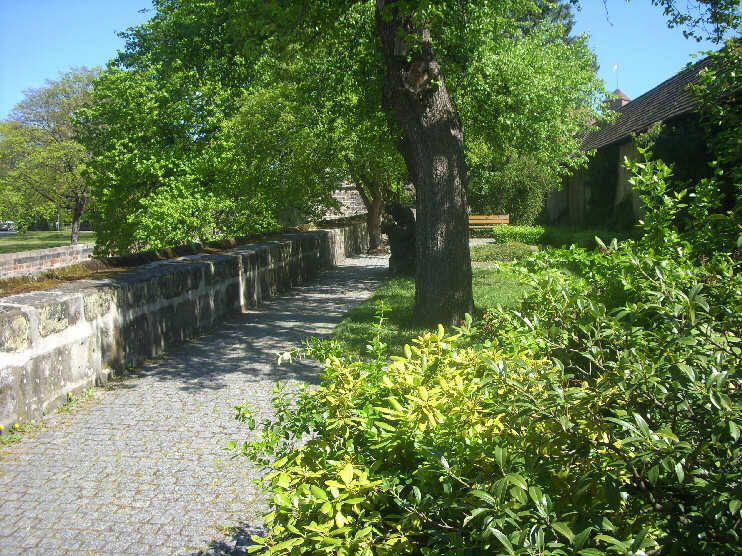 Frhling im Brgermeistergarten (Mai 2014)