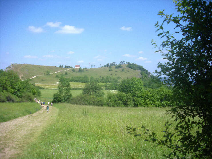 Blick von der Senke zwischen Walberla und Rodenstein auf das Walberla (Juni 2015)