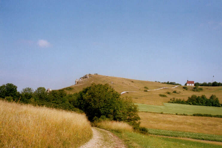 Blick von der Senke zwischen Walberla und Rodenstein auf das Walberla (Juni 2005)