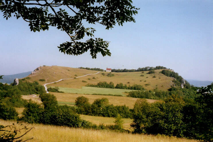 Blick von der Senke zwischen Walberla und Rodenstein auf das Walberla (Juni 2005)