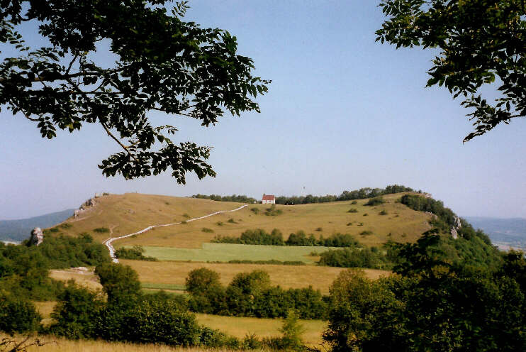 Blick von der Senke zwischen Walberla und Rodenstein auf das Walberla (Juni 2006)