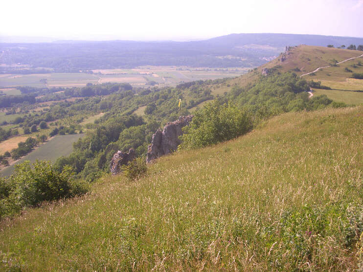 Blick vom Rodenstein auf den westlichen Hang des Walberla und das Umland (Juni 2015)