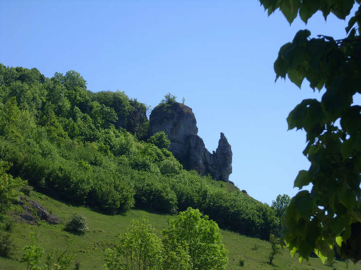 Walberla «Steinerne Frau» (Mai 2011). Die «Steinerne Frau» ist eine markante Felsformation am Westhang des Walberla. Die Verwitterung wirkt dort am harten Dolomit bevorzugt an senkrechten Klüften. Im Laufe der Zeit vergrößerten sich die Risse dergestalt, dass einzelne Felstürme entstanden.