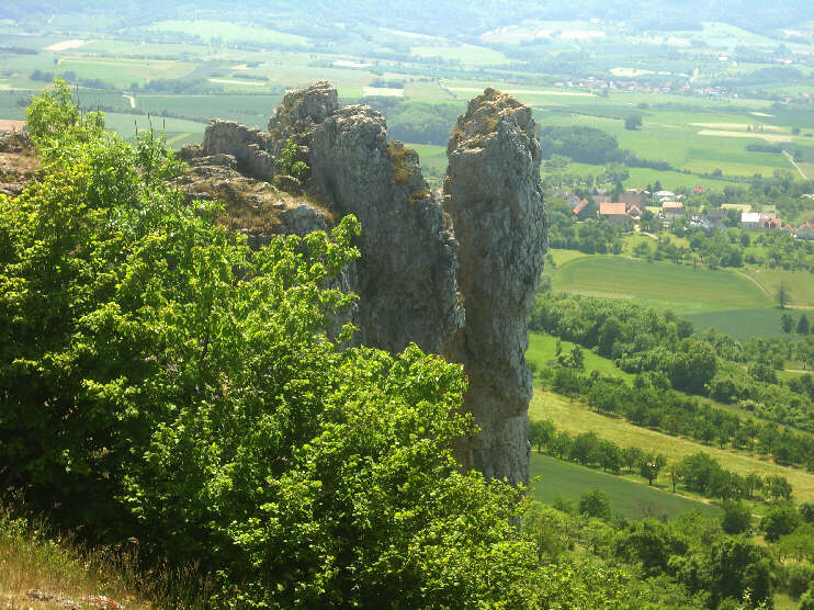 Wiesenthauer Nadelfelsen (Juni 2015). Die «Wiesenthauer Nadel» ist am Westhang, etwa 100 Meter südlich der «Steinernen Frau» zu finden. Dieser Felsturm ist vollständig vom benachbarten Gestein getrennt und neigt sich bereits talwärts.