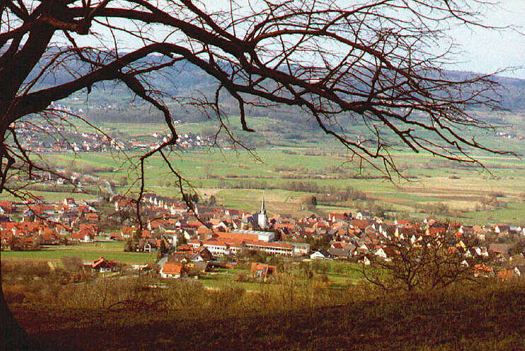 Aussichtspunkt am Walberlakreuz: Blick auf Kirchehrenbach (März 2007)