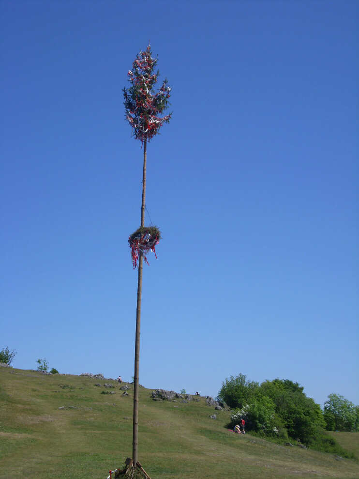 Maibaum auf dem Walberla, Blick zur Ostkuppe 2011