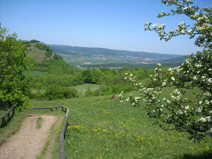 Am Hang des Rodensteins - Blickrichtung Walberla, Kirchehrenbach, Pretzfeld, Ebermannstadt (Mai 2011)