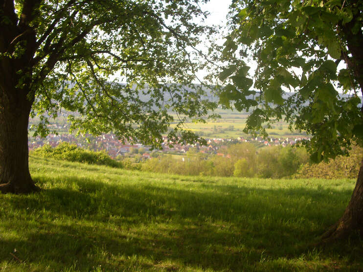 Aussichtspunkt am Walberlakreuz: Blick auf Kirchehrenbach (Mai 2014)