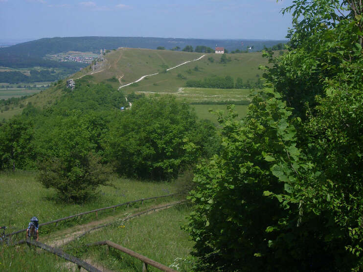 Blick vom Rodenstein-Weg zum Walberla (Juni 2015)