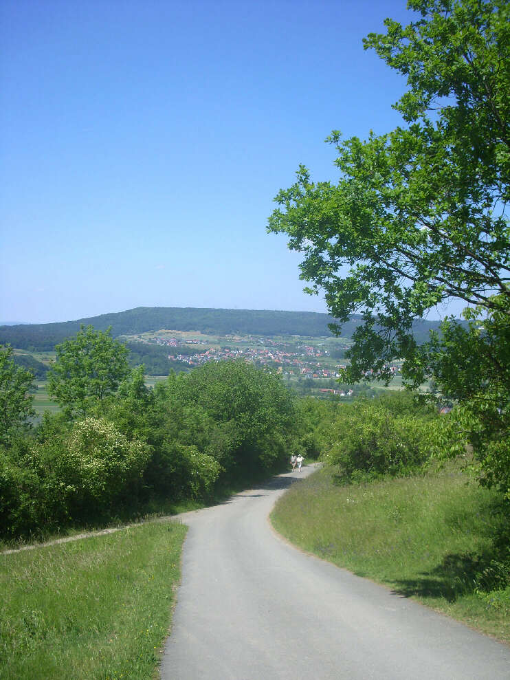 Straße von Kirchehrenbach zum Walberla, Blickrichtung bergabwärts (Juni 2015)