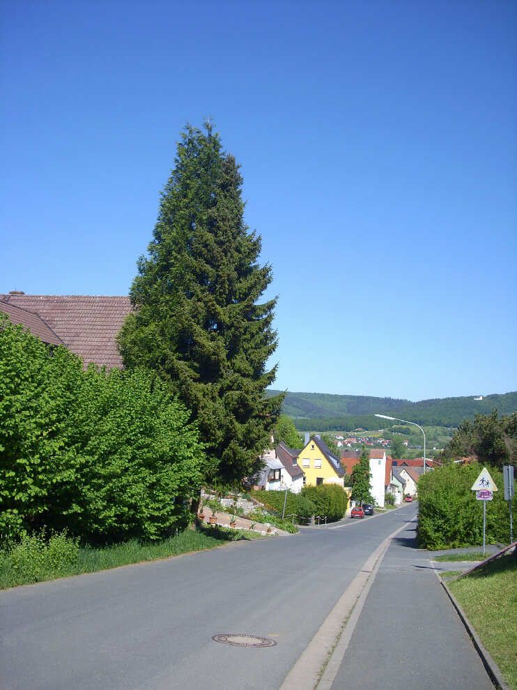 Kirchehrenbach, Straße zur Ehrenbürg (Mai 2011)