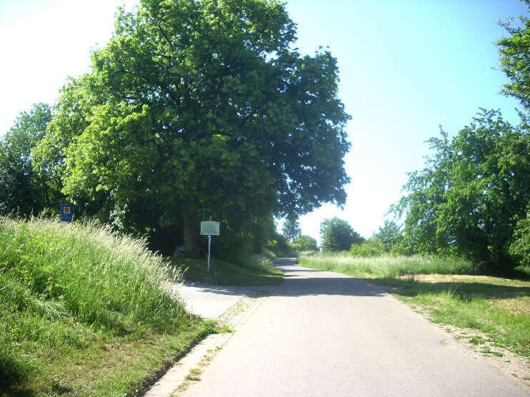 Links Fußweg zum Walberla, rechts Strasse zum Walberla (Juni 2015)