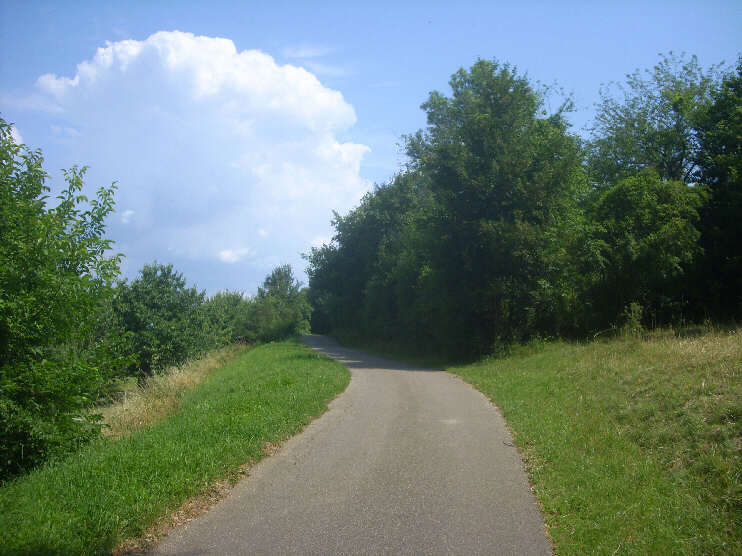 Straße zum Walberla (Juli 2018)