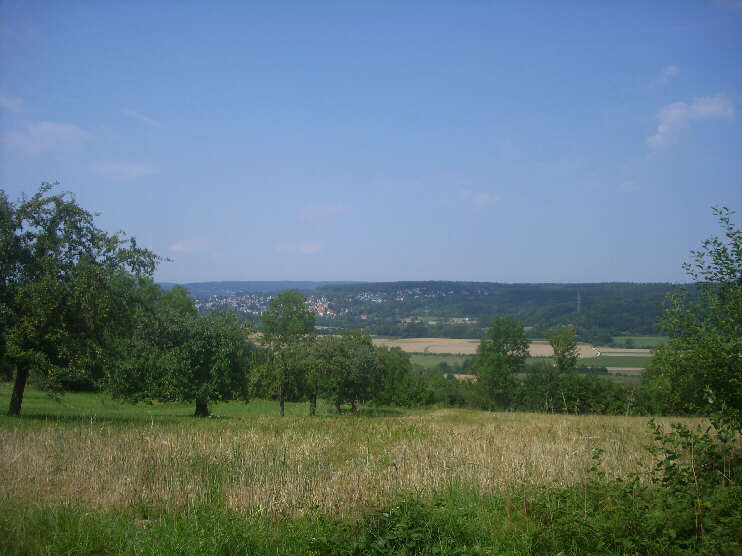 Blick von der Straße in Richtung Forchheim (Juli 2018)