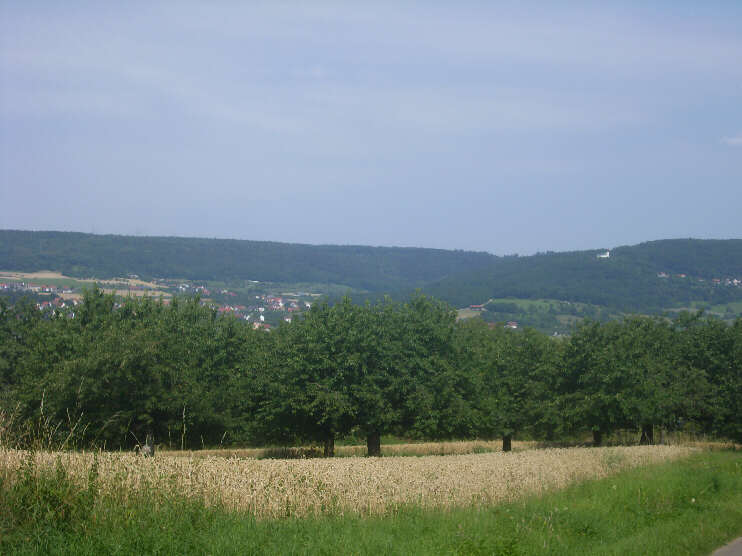Blick von der Walberlastraße in Richtung Weilersbach (Juli 2018)
