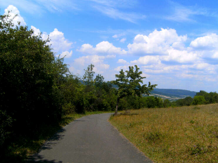 Straße von Kirchehrenbach zum Walberla, Blickrichtung bergabwärts (Juli 2018Straße von Kirchehrenbach zum Walberla, Blickrichtung bergabwärts (Juni 2018)