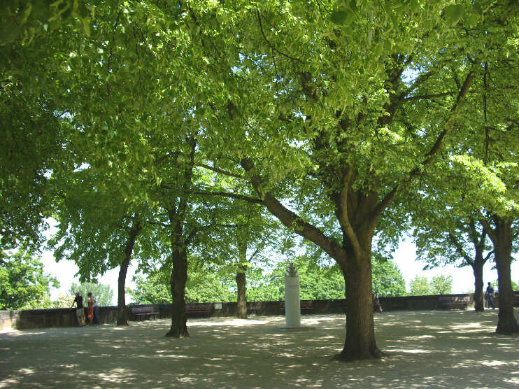 Burgpark mit Georg Christoph Eimmart-Denkmal (Mai 2009)