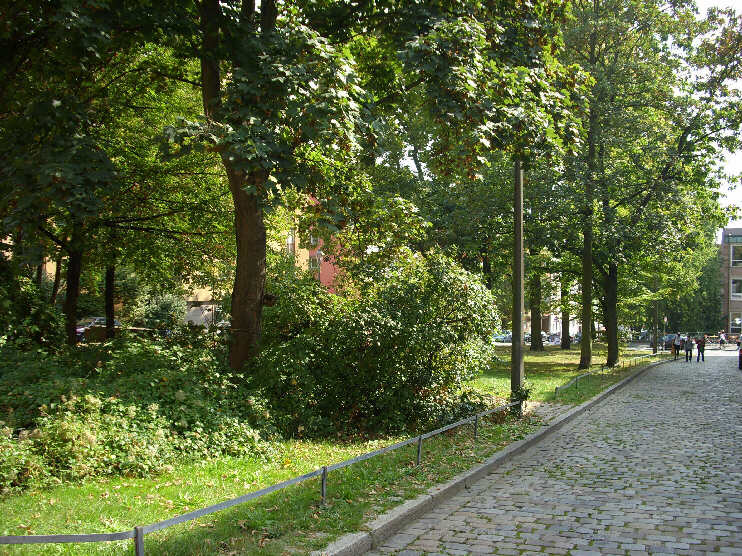 Grünanlage am unteren Webersplatz (September 2009)