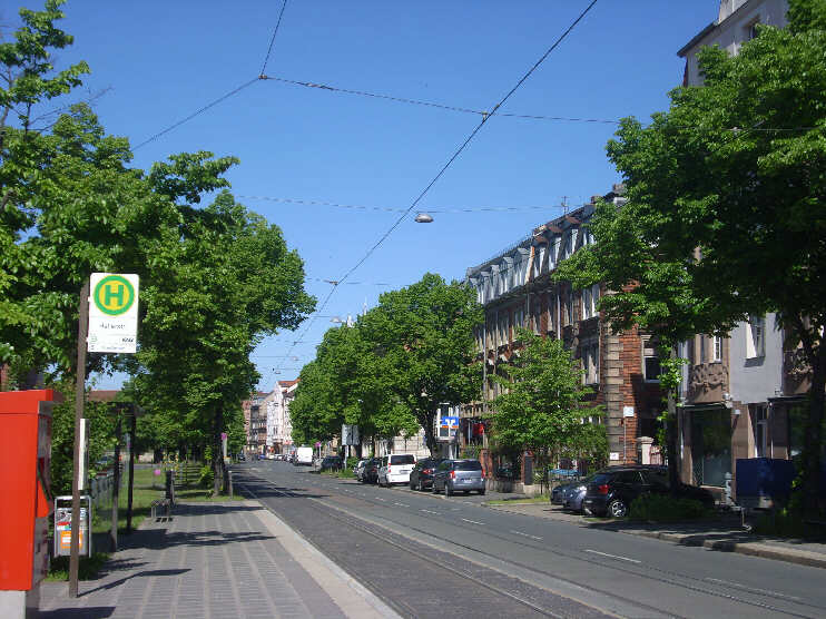 Johannisstraße, bei der Straßenbahnhaltestelle «Hallerstraße» (Mai 2013)