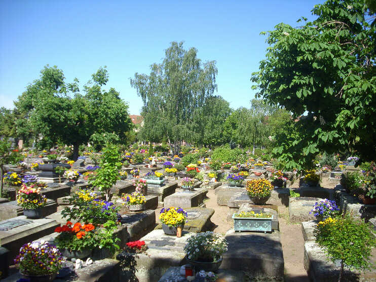 Blumenpracht auf dem Johannisfriedhof (Mai 2013)