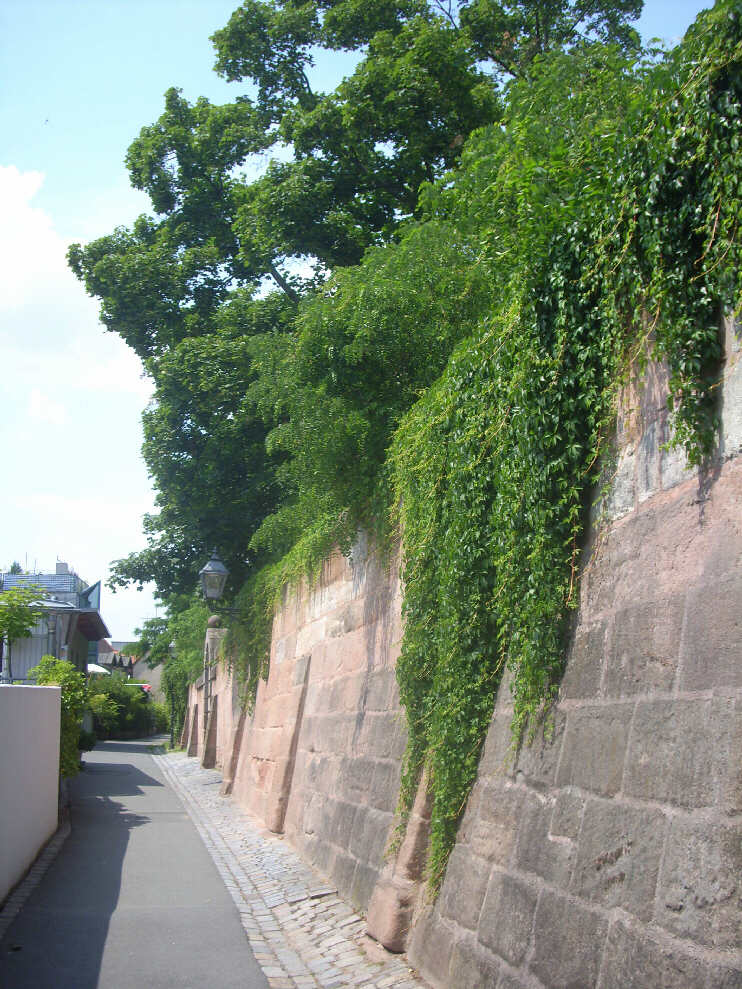 Riesenschritt, Blickrichtung Johannisfriedhof (Juli 2013)