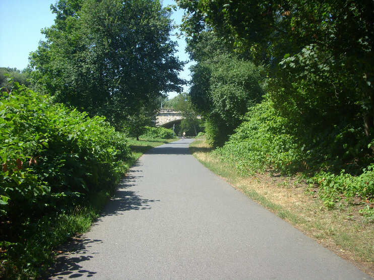 Rad- und Wanderweg durch die Pegnitzauen, Blickrichtung Johannisbrücke (August 2013)