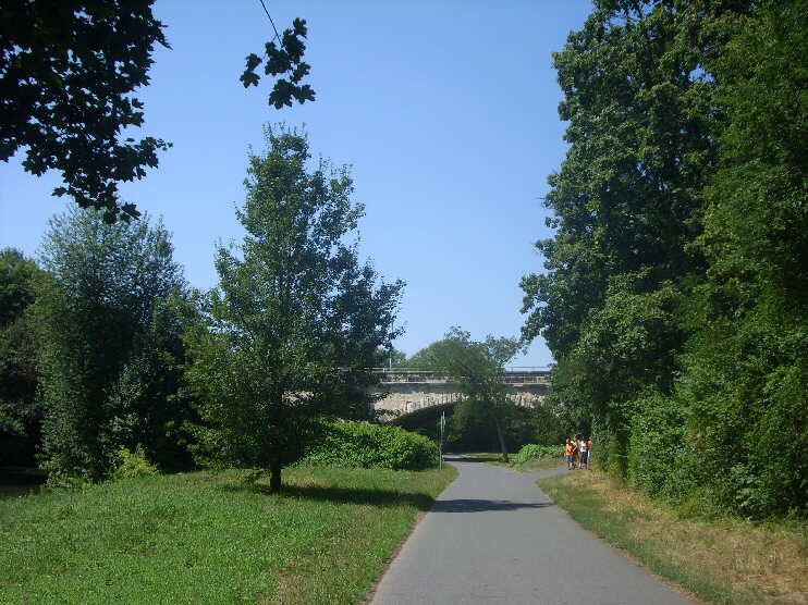 Rad- und Wanderweg durch die Pegnitzauen, kurz vor der Johannisbrücke (August 2013)