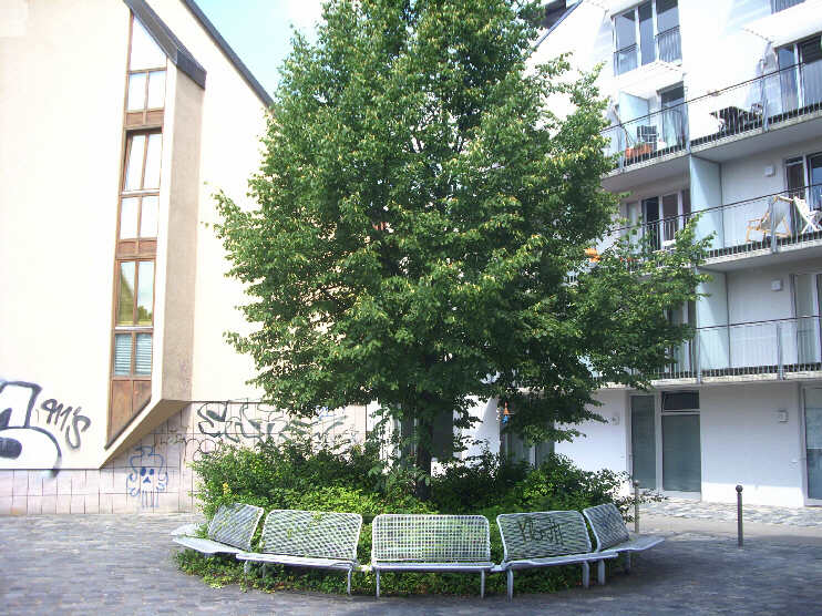 Großweidenmühlstraße (August 2013)