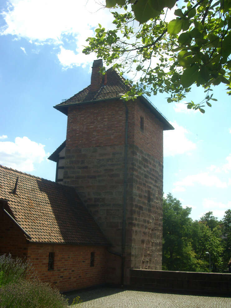 Turm «Grünes H» vom Heilpflanzengarten aus gesehen (Juli 2017)