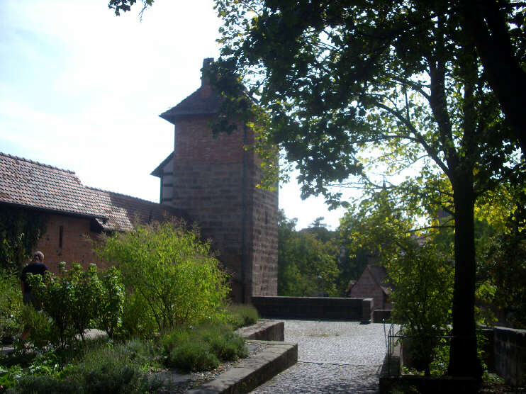 Blick vom Heilpflanzengarten zum Turm «Grünes H» (September 2009)