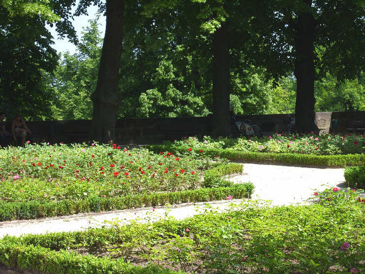Im Burggarten auf der Großen Burgbastei (Mai 2009)