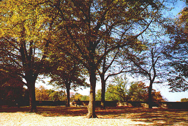 Im Burgpark (September 2005)