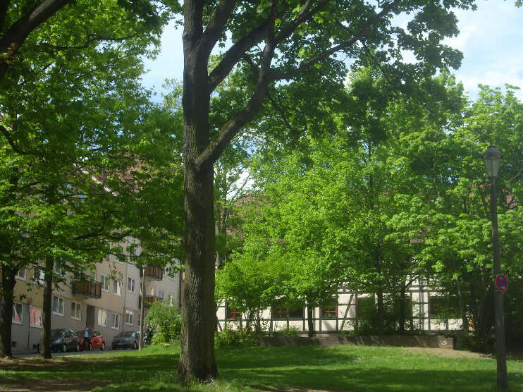 Webersplatz (Mai 2015)