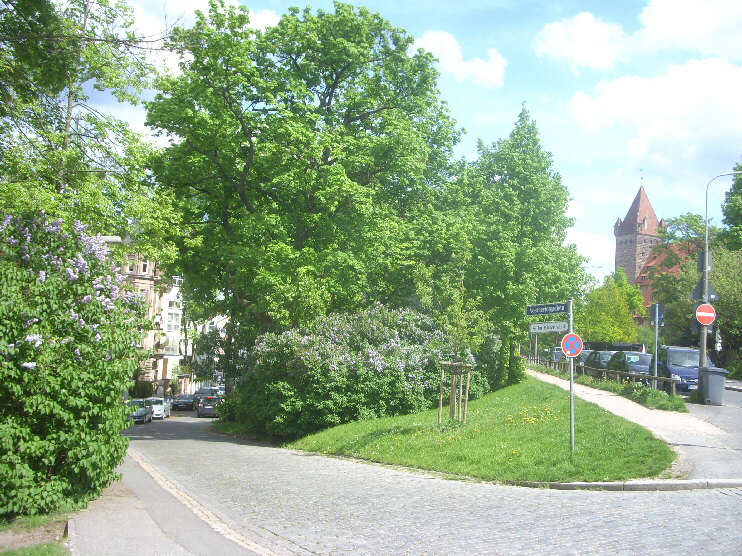 Verbindungsstraße vom «oberen» Verstnertorgraben in den «unteren» Vestnertorgraben (Mai 2015)