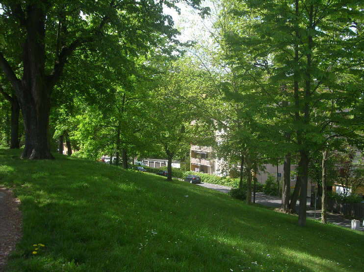Grünanlage am Kühberg (April 2015)