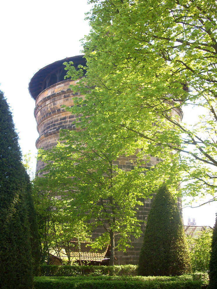 Blick von der Neutorbastei auf den angrenzenden Neutorturm (Mai 2014)